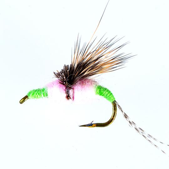 Wet Flies Fly Fishing Flies Kit 40 Pcs