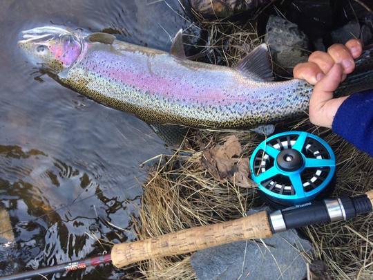 AOKA Fly Fishing Reel