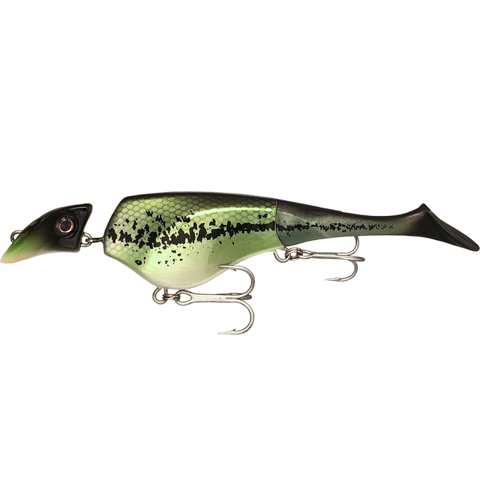 Shad 6" Floating, Suspending, or Sinking Options