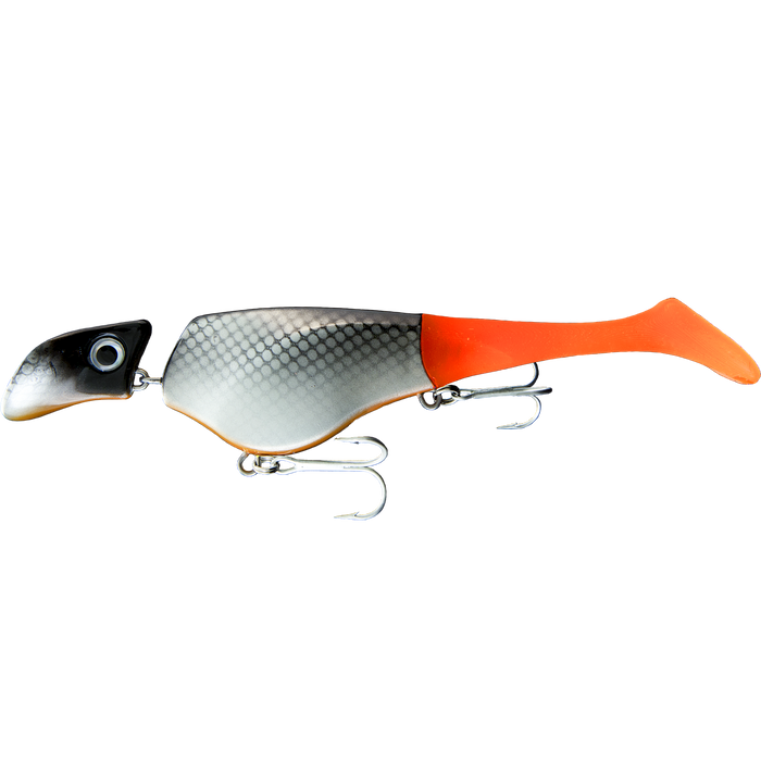 Shad 6" Floating, Suspending, or Sinking Options