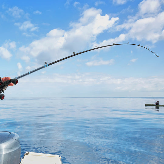 Alijoz Casting Rod One Piece Fishing Rod