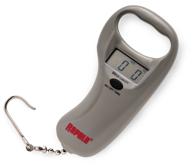 Digital Scale 50lb