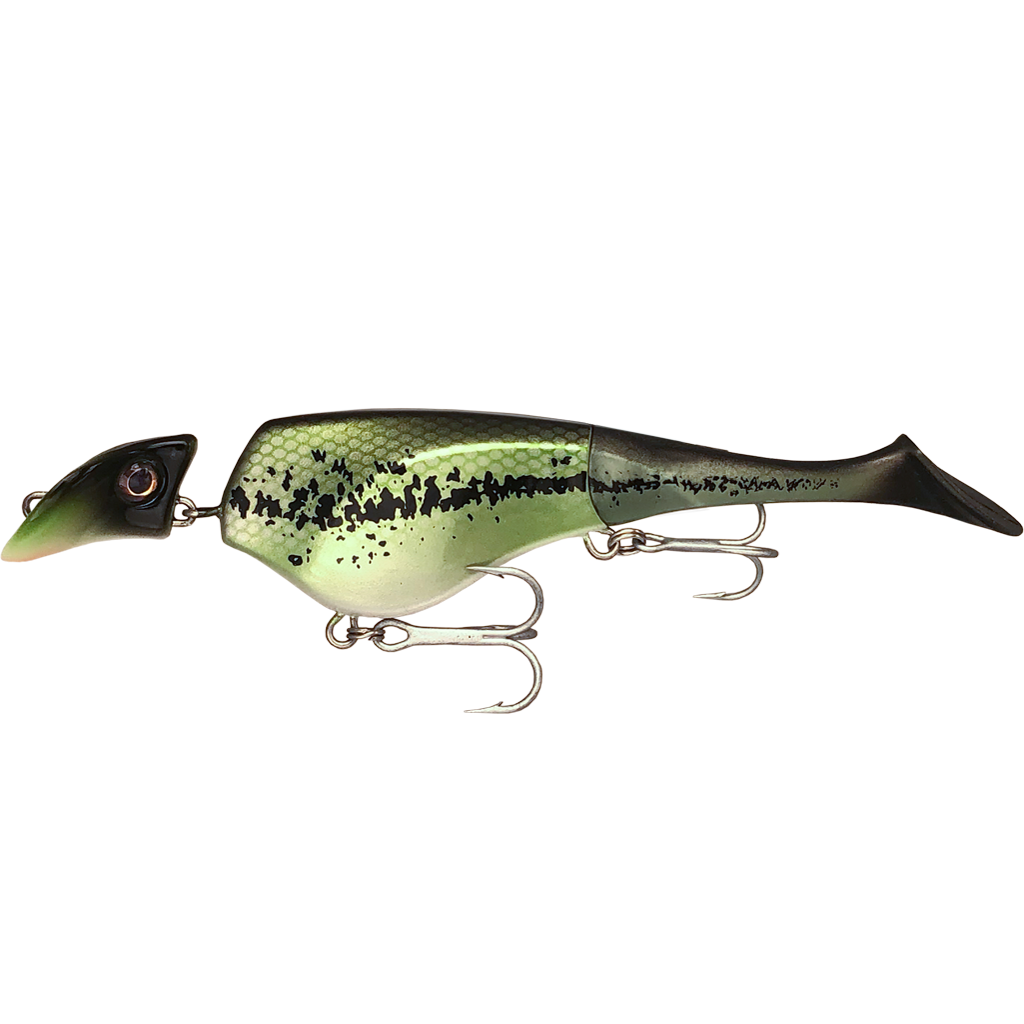 Shad 6