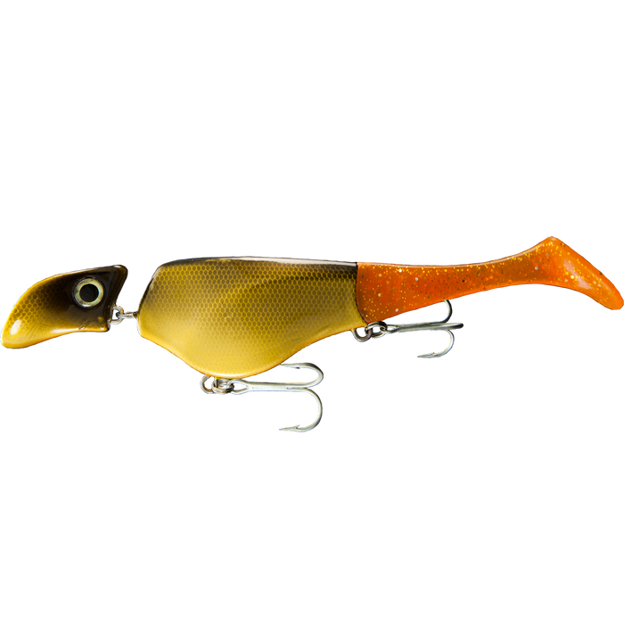 Shad 6" Floating, Suspending, or Sinking Options