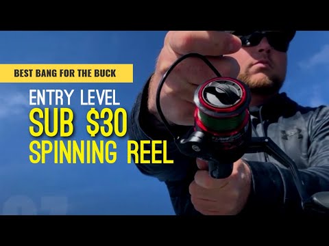 best bang for the buck fly reel Flame Spinning Fishing Reel with 10 Bearings — Bigger Fishing